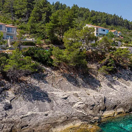 Lovely In * יאנוב